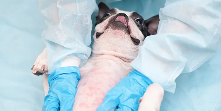 Imagen cabecera post