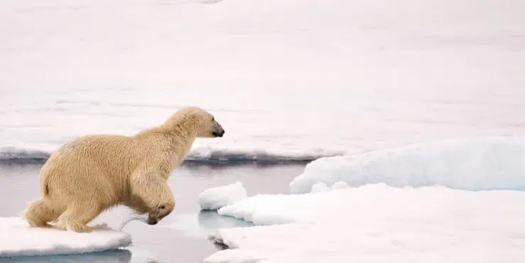 Imagen cabecera post