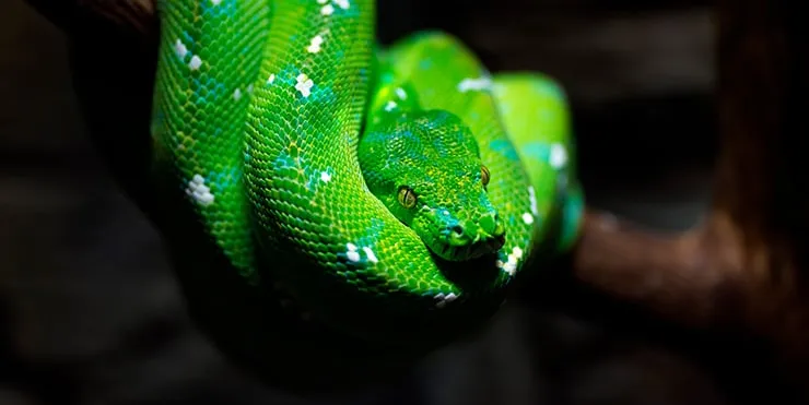 Imagen cabecera post