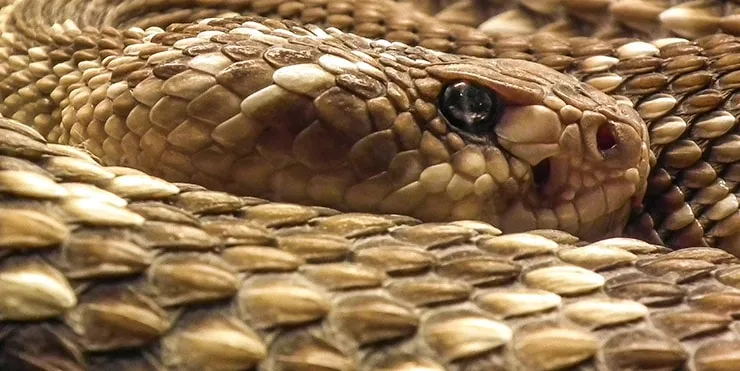 Imagen cabecera post