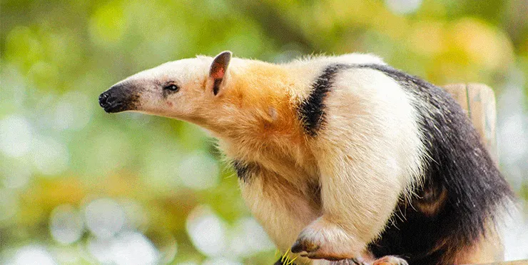 Imagen cabecera post