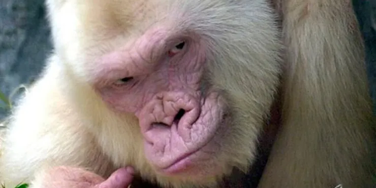 Imagen cabecera post