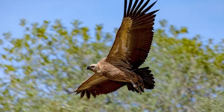 Imagen cabecera post