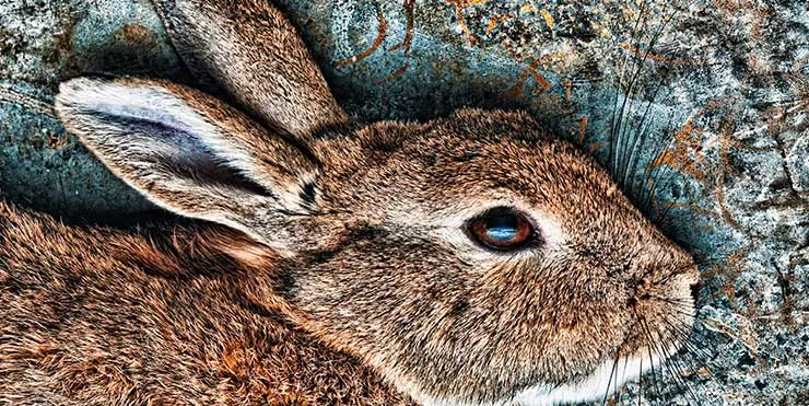 Imagen cabecera post