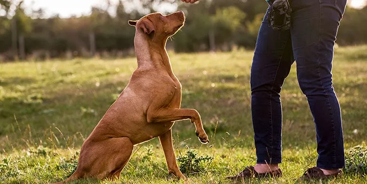 Imagen cabecera post