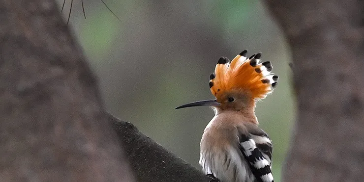 Imagen cabecera post