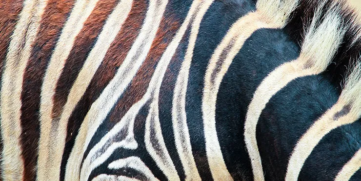 Imagen cabecera post