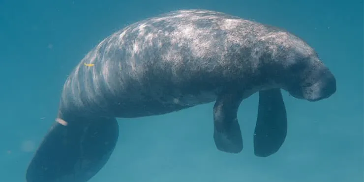 Imagen cabecera post