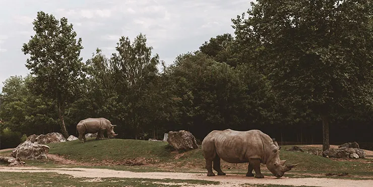 Imagen cabecera post