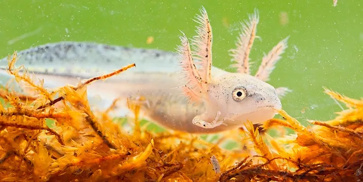 Imagen cabecera post