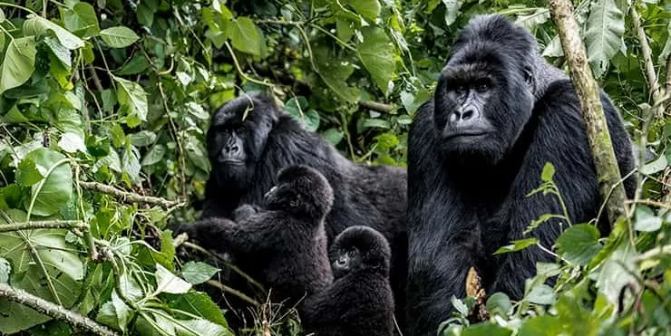 Imagen cabecera post