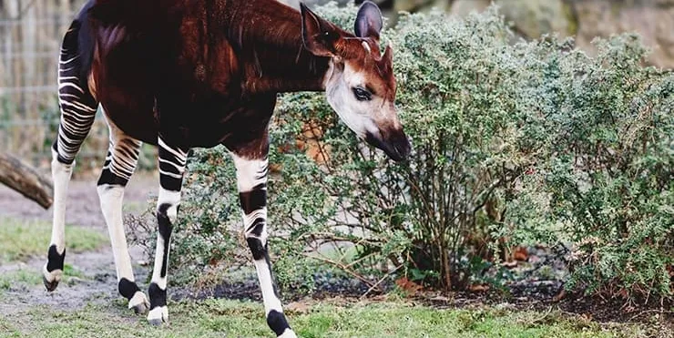 Imagen cabecera post