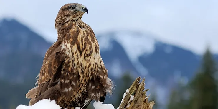 Imagen cabecera post