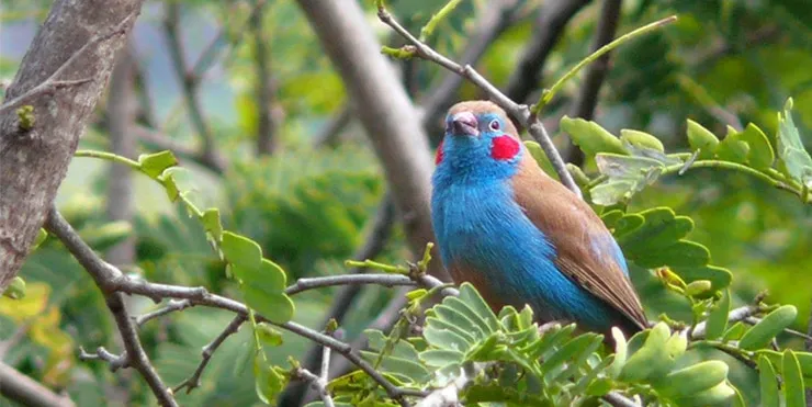 Imagen cabecera post