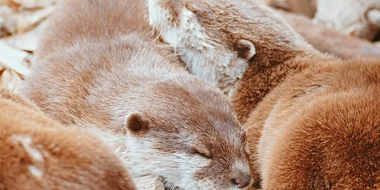 Imagen cabecera post