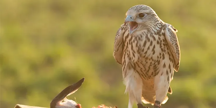 Imagen cabecera post