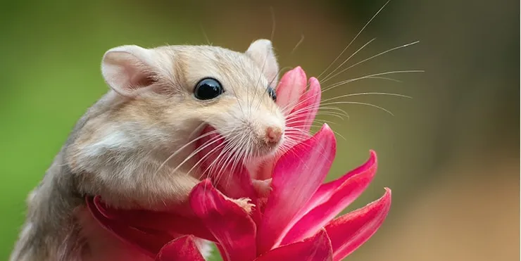 Imagen cabecera post