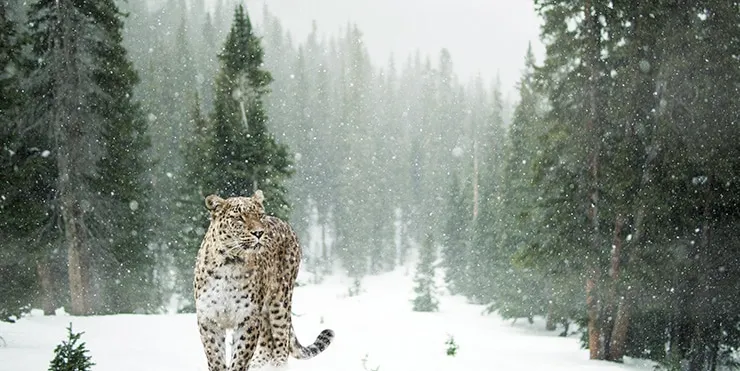 Imagen cabecera post