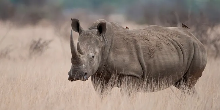 Imagen cabecera post