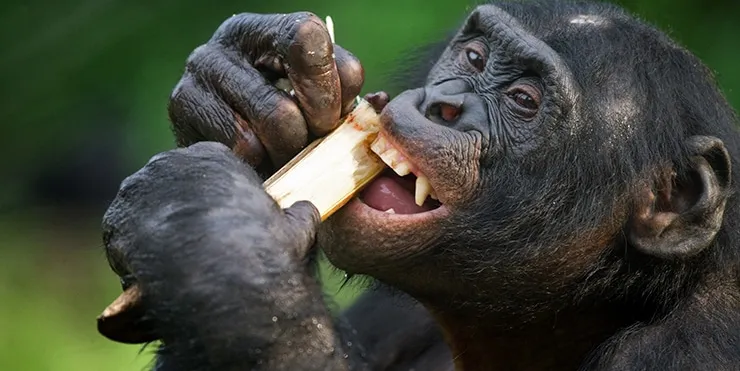 Imagen cabecera post