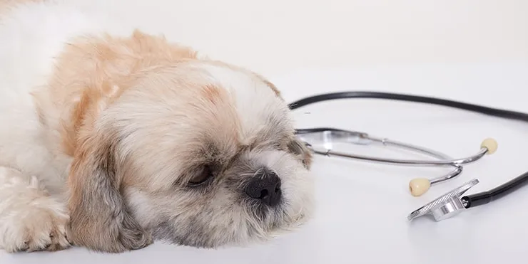 Imagen cabecera post