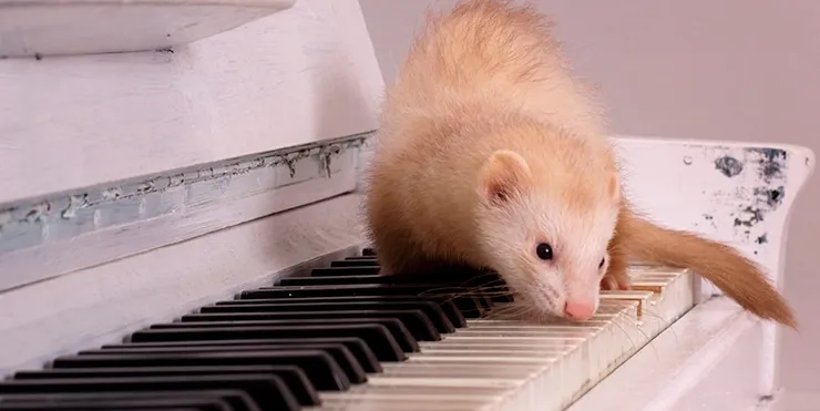 Imagen cabecera post