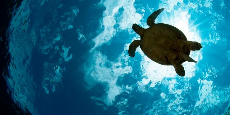 Imagen cabecera post