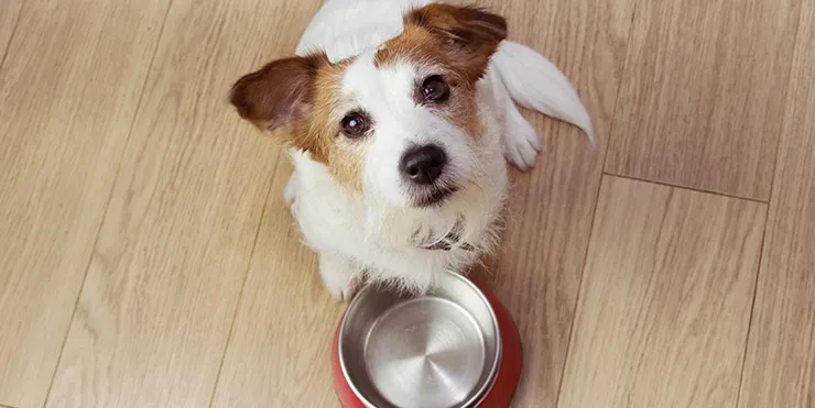 Imagen cabecera post