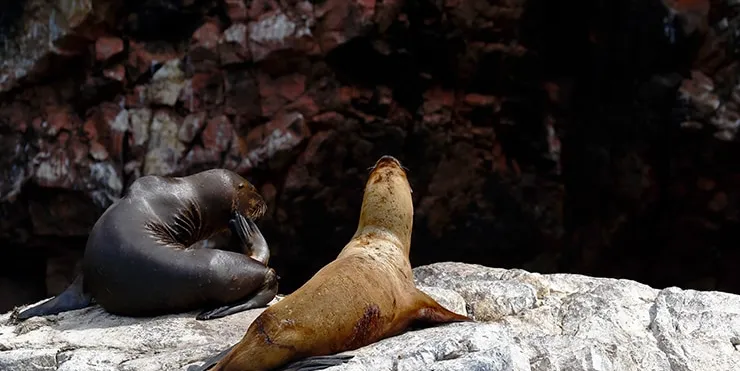 Imagen cabecera post