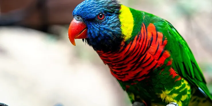 Imagen cabecera post