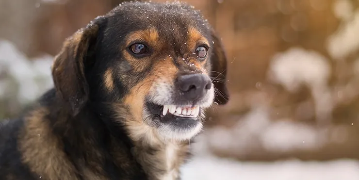 Imagen cabecera post