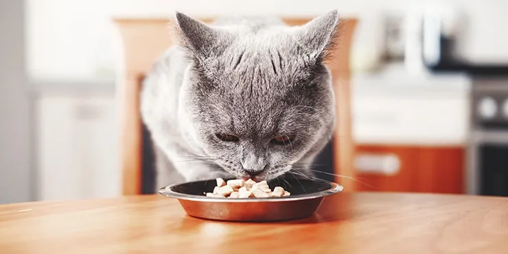 Imagen cabecera post