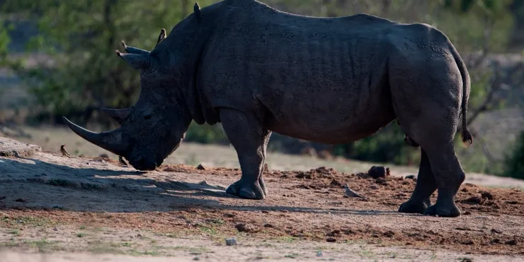 Imagen cabecera post