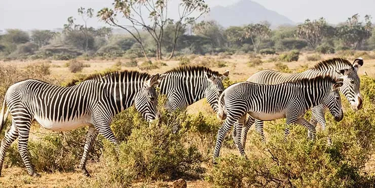 Imagen cabecera post