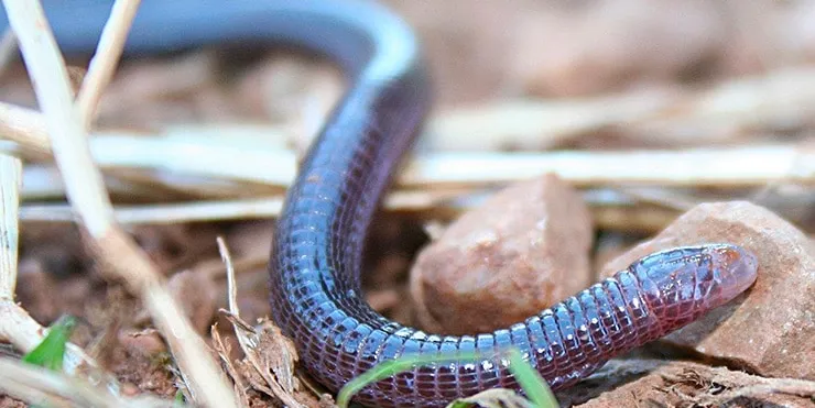 Imagen cabecera post