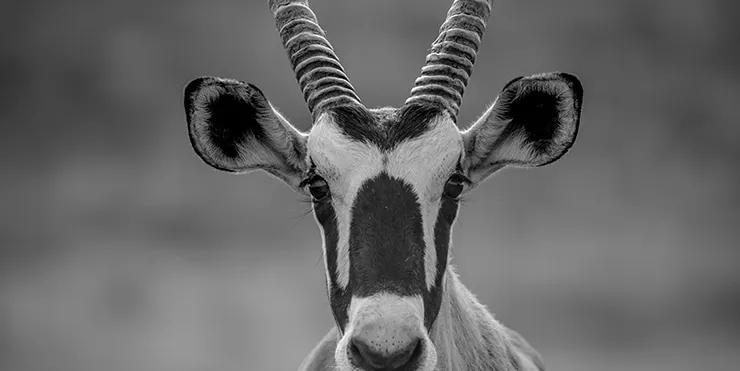 Imagen cabecera post