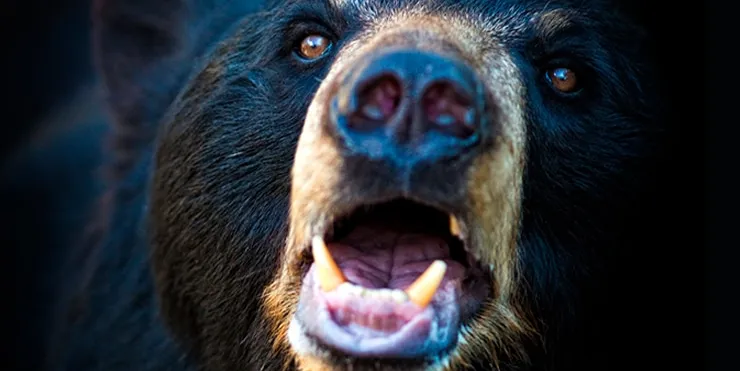 Imagen cabecera post