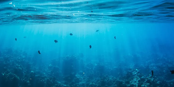 Imagen cabecera post