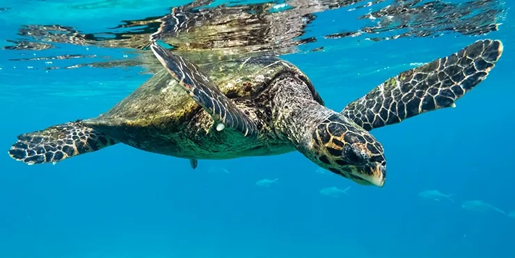 Imagen cabecera post