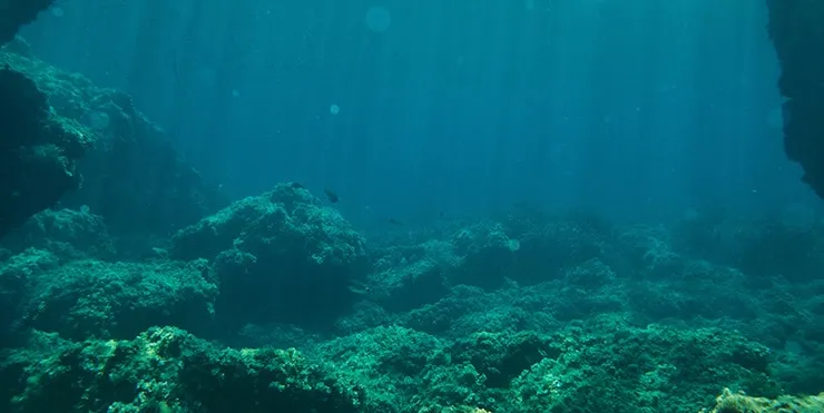 Imagen cabecera post