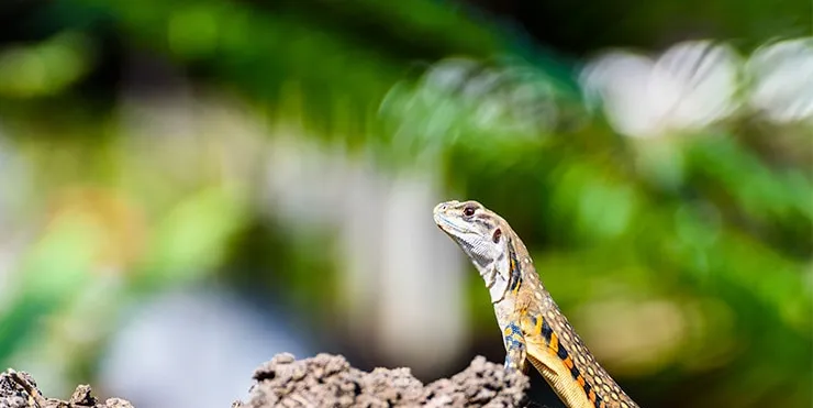 Imagen cabecera post