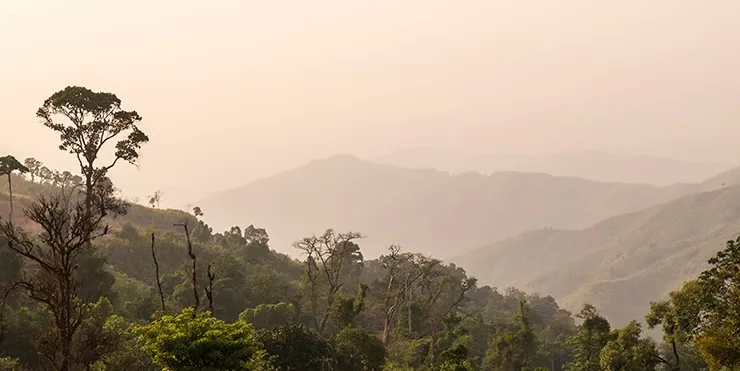 Imagen cabecera post