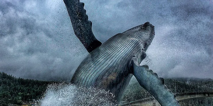 Imagen cabecera post