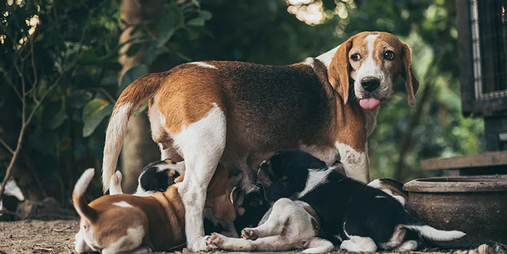 Imagen cabecera post