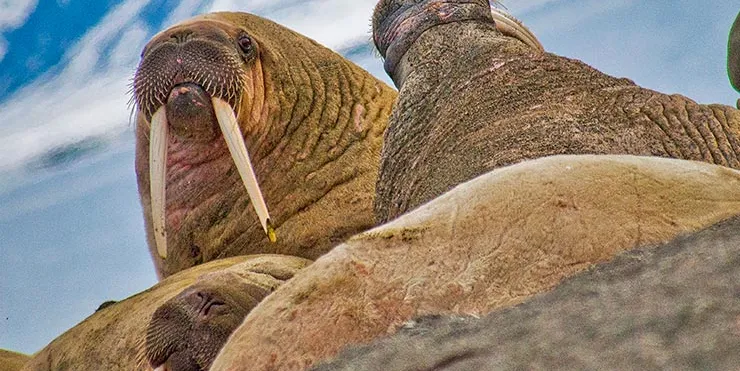 Imagen cabecera post