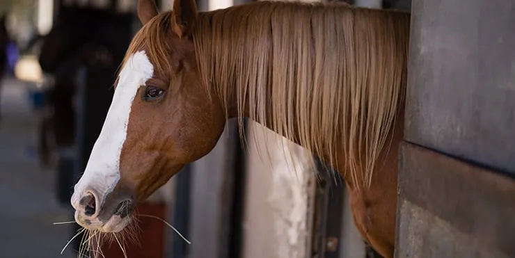 Imagen cabecera post