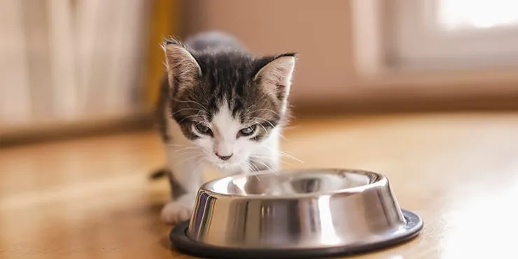 Imagen cabecera post