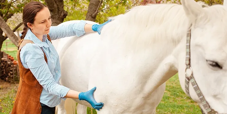 Imagen cabecera post