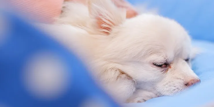 Imagen cabecera post