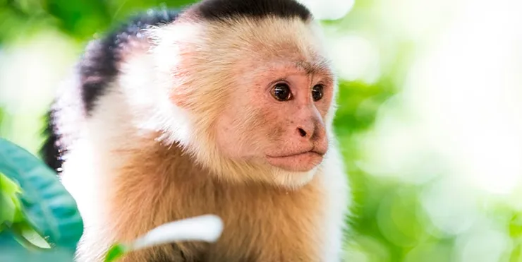 Imagen cabecera post